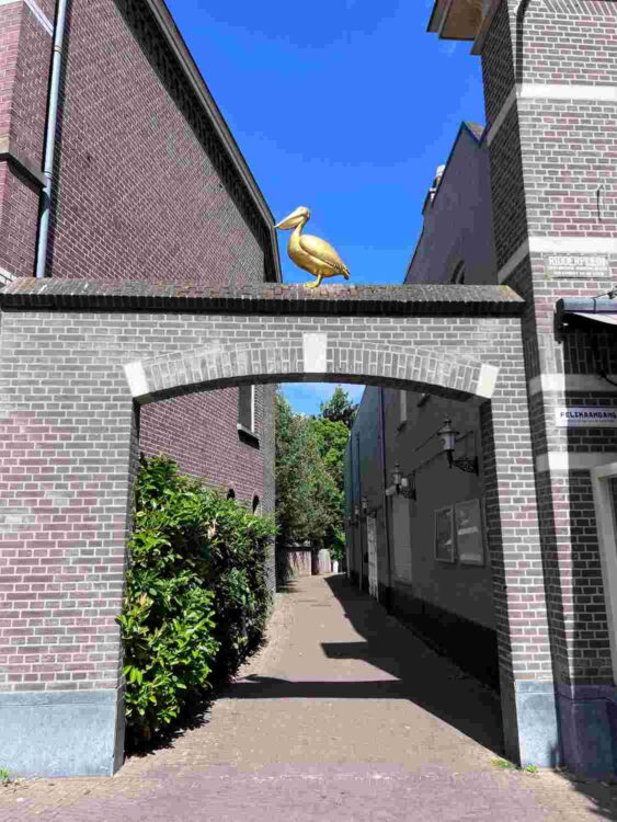 Wandeling langs het Ridderplein