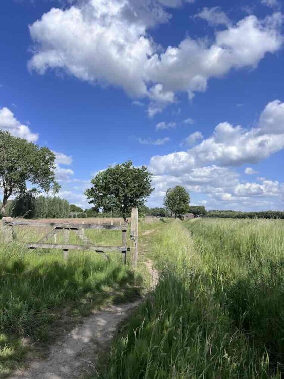 Wandelpad in het buitengebied van de Gimmerse Ronde