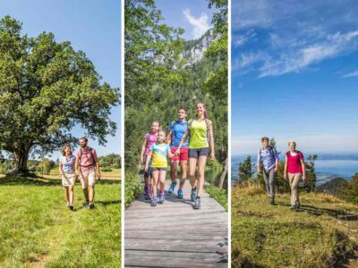 Welke wandelschoenen kiezen? Een vergelijking voor elk type wandeling!