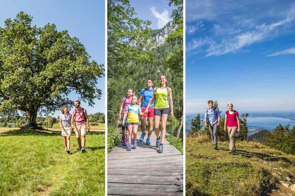 Welke wandelschoenen voor welke wandeling? - 1